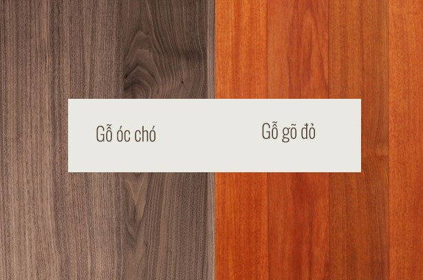 so sanh go oc cho va go go do